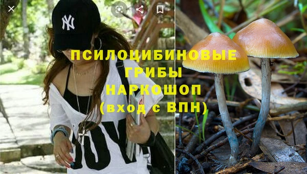 прущие грибы Алзамай