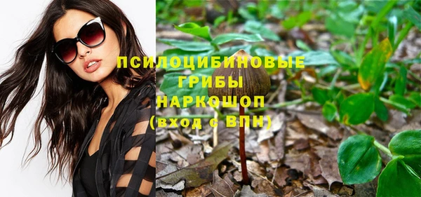 бошки Алексеевка