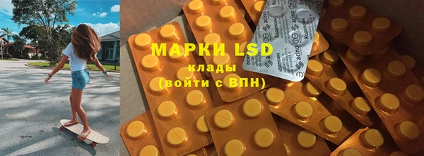прущие грибы Алзамай