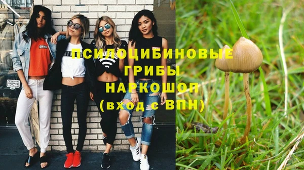 бошки Алексеевка