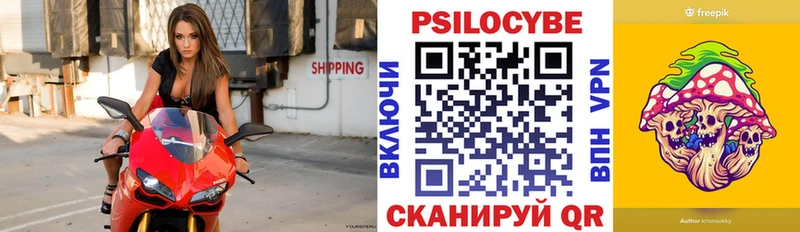 Псилоцибиновые грибы Psilocybe что такое Далматово